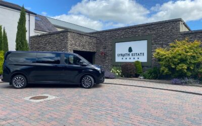 Newgrange and the Boyne Valley: A Day Trip from Dublin by Chauffeur